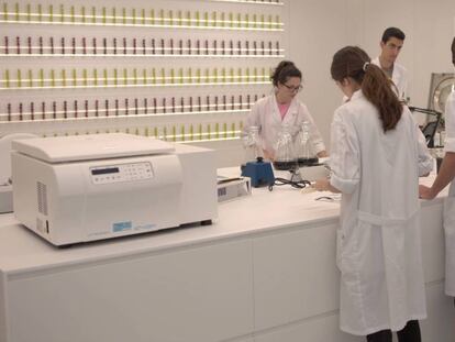 Laboratorios de Snfl, el centro de innovación de AMC sobre uvas en Murcia. 