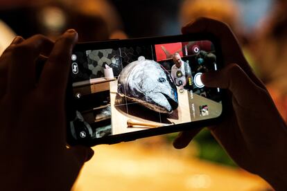 Un asistente a la ceremonia Kaitai del restaurante Tunateca de Barcelona fotografía el atún antes del despiece. Gianluca Battista