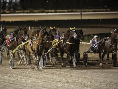 Carrera de caballos en el hipódromo de Son Pardo en Palma de Mallorca.