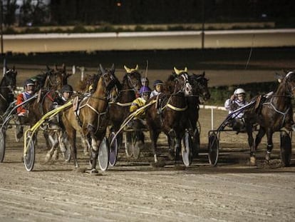 Carrera de caballos en el hip&oacute;dromo de Son Pardo en Palma de Mallorca. 