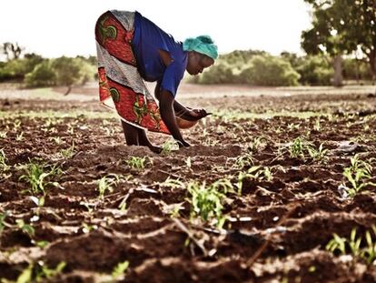 La solución al cambio climático está en nuestras tierras