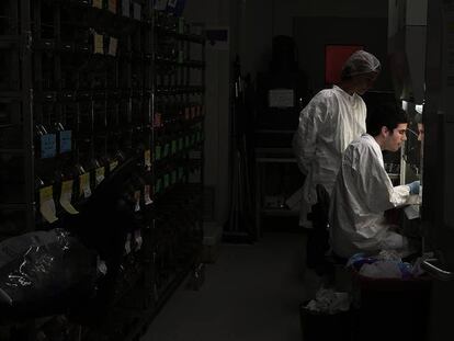 Dos investigadores en uno de los laboratorios del Centro de Biolog&iacute;a Molecular Severo Ochoa.