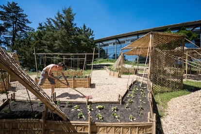 El jardín comunitario Kitchen Garden, en el exterior de la Documenta Halle.