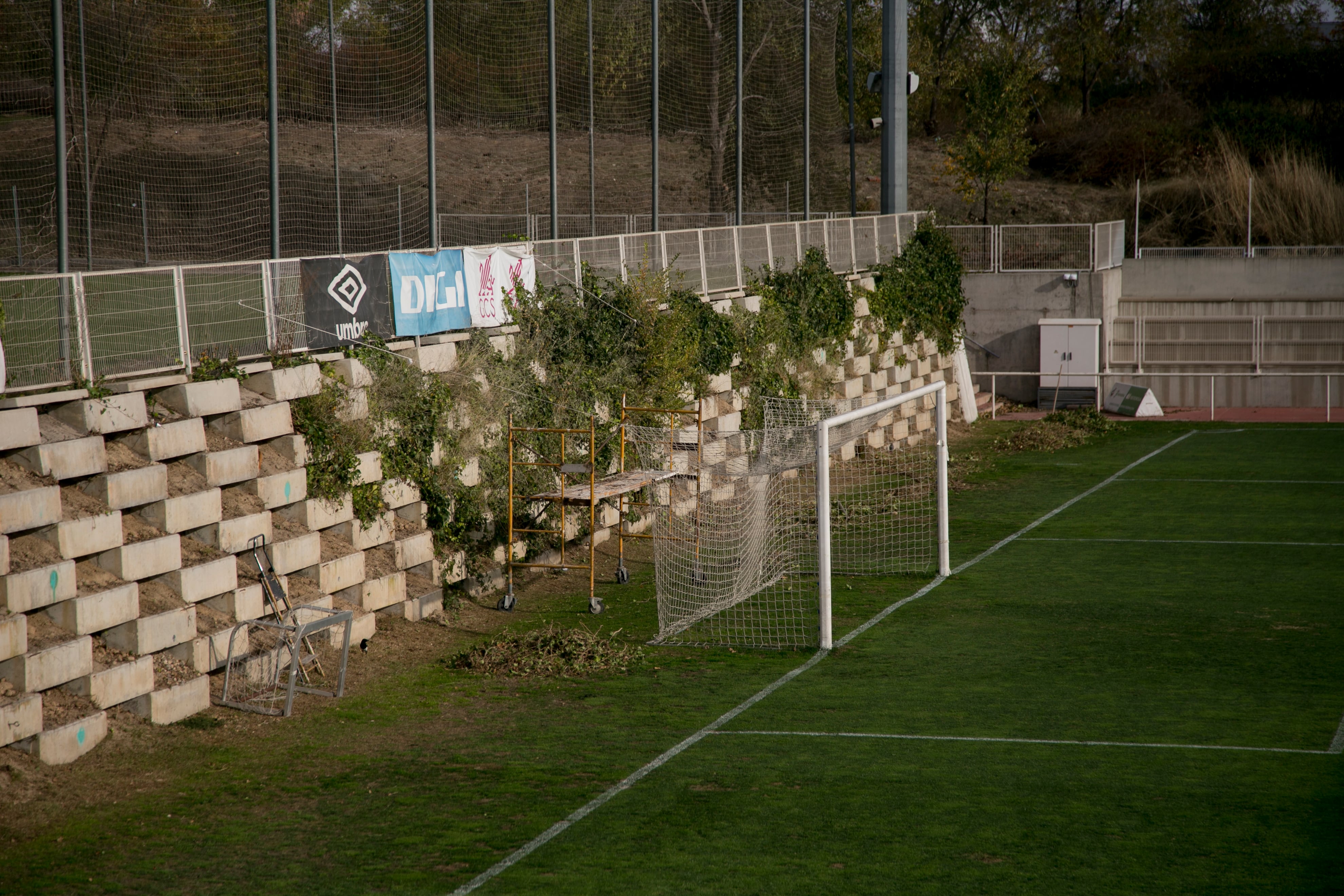Estado del césped en uno de los campos de la ciudad deportiva del Rayo donde debería entrenar el primer equipo. 