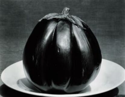 &quot;Esberg&iacute;nia&quot; (1929), fotograf&iacute;a d&#039;Edward Weston.