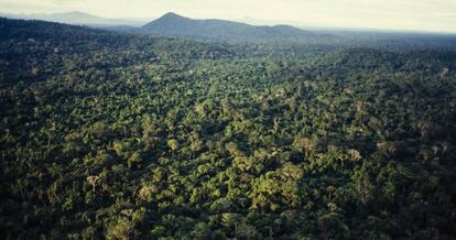 La Amazonia, desde una vista aérea.