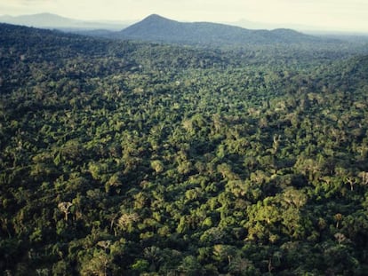 La Amazonia, desde una vista aérea.