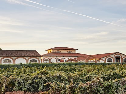 Viñedos e instalaciones de Bodegas Fariña, en Toro, Zamora.