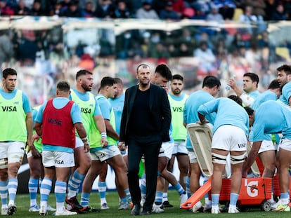 Michael Cheika durante un partido de la selección de rugby de Argentina.