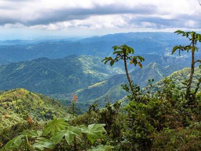 La Cordillera Central atraviesa Puerto Rico de este a oeste.