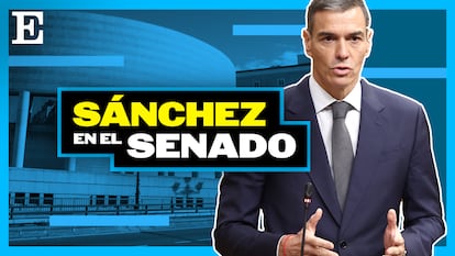 Programa especial | Sánchez en el Senado, el análisis de la Comisión