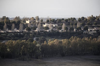 Vista de los chalés de la urbanización donde se aprecia la vegetación de la zona: pinos, encinas y eucaliptos.