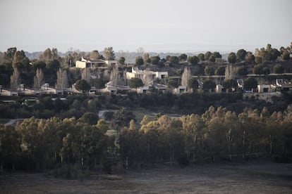 Vista de los chals de la urbanizacin donde se aprecia la vegetacin de la zona: pinos, encinas y eucaliptos.