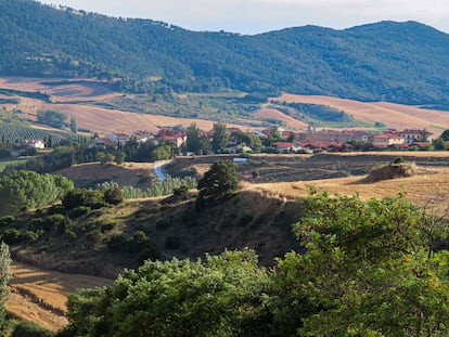 Vista de Ucar, en Valdizarbe (Navarra), con las montañas de las Nekeas de fondo.