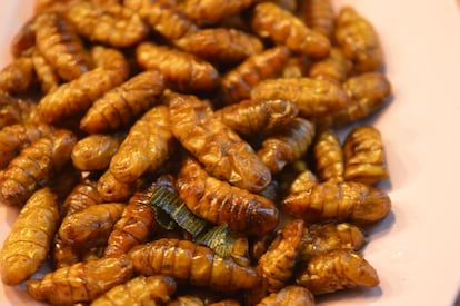 'Nhon mhai' o crisálidas de los gusanos de seda. 