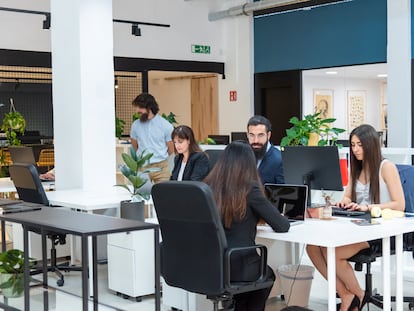 Empleados de una empresa en la oficina