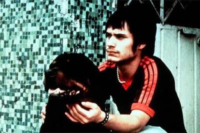 Gael García Bernal, en <i>Amores perros.</i>