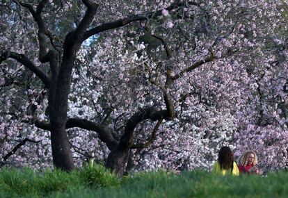 Dos mujeres junto a los almendros en flor en el parque Quinta de los Molinos de Madrid.