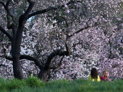 Dos mujeres junto a los almendros en flor en el parque Quinta de los Molinos de Madrid.