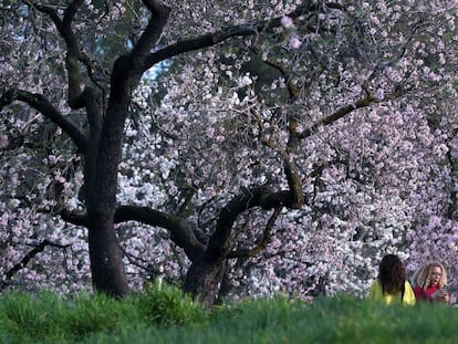 Dos mujeres este sábado junto a los almendros en flor en el parque Quinta de los Molinos de Madrid.