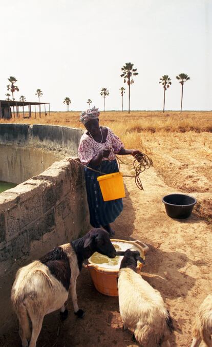 Una aldeana de Elubaline saca agua de un depósito. En 2015, el 78.5% de la población total y el 67% de la rural tuvo acceso a una 'fuente de agua mejorada'. Sin embargo, solo el 34% de la población rural tuvo acceso a un sistema de saneamiento adecuado ese mismo año.
