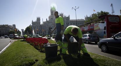 Trabajos de jardinería en las zonas por las que pasará la comitiva real.