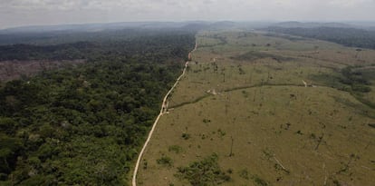 Imagem de desmatamento na região de Novo Progresso, no Pará.