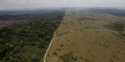 Imagem de desmatamento na região de Novo Progresso, no Pará.