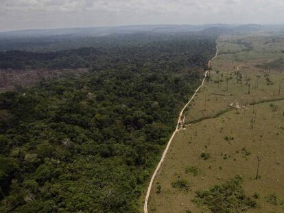 Imagem de desmatamento na região de Novo Progresso, no Pará.