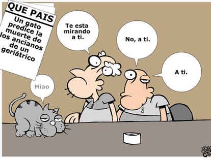 La viñeta muda
