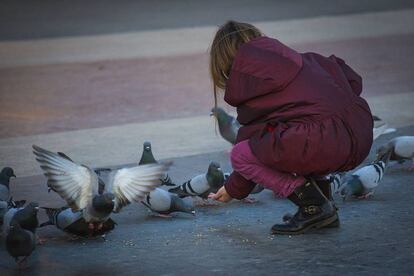 Una nena d&oacute;na menjar als coloms a la pla&ccedil;a Catalunya.