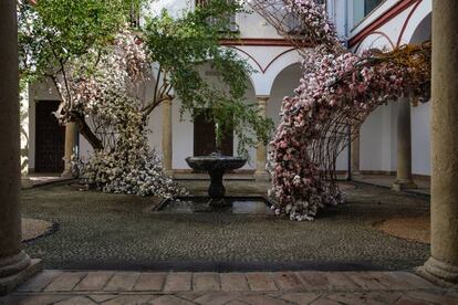 Instalación de Flor Motion ganadora del primer premio en el Festival Flora 2019 (Córdoba).