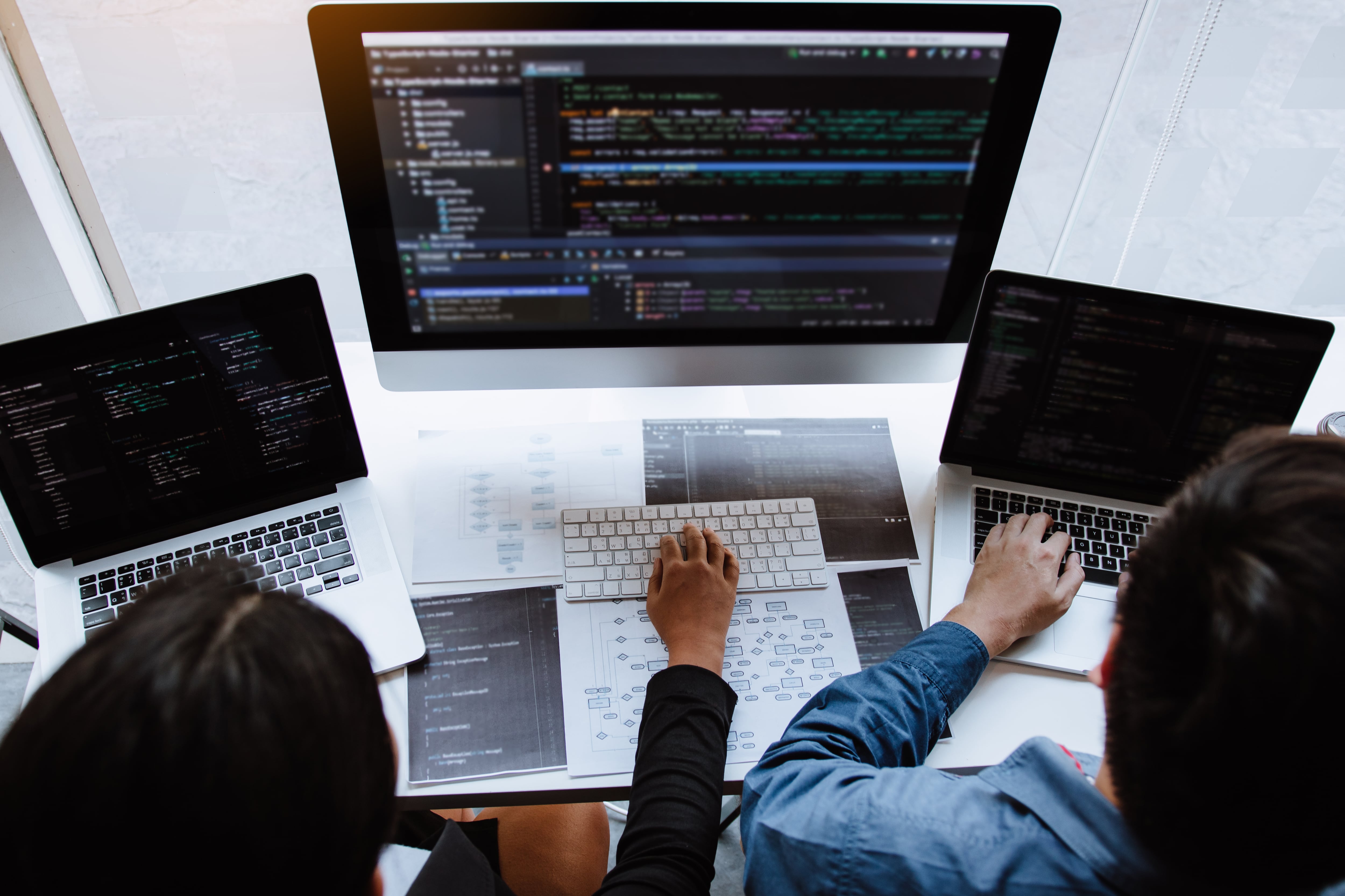 Programadores de software.