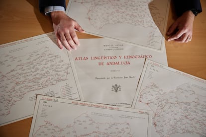 Mapa del Estudio del habla andaluza de la Universidad de Granada.