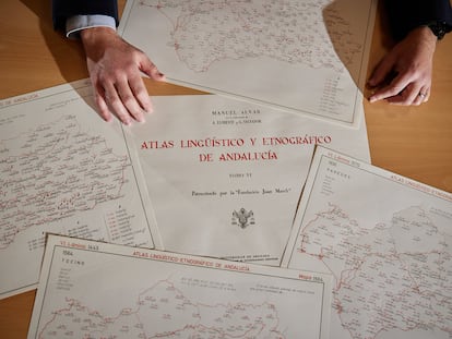 Mapa del Estudio del habla andaluza de la Universidad de Granada.