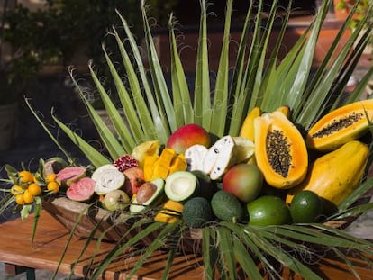 Frutas ex&oacute;ticas de Finca San Ram&oacute;n, en la Costa Tropical de Granada. 