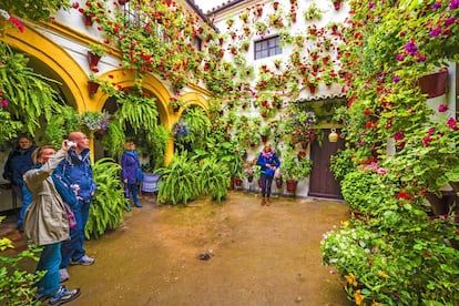 Un clásico patio cordobés recibe la visita de turistas durante el festival de los patios, que se suele celebrar en la segunda quincena de mayo.