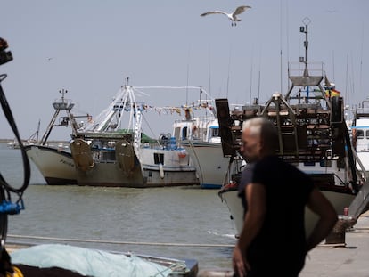 Flota pesquera amarrada en el puerto de Sanlúcar de Barrameda (Cádiz).