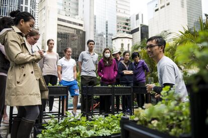 Michelle Hong, Andrew Tsui y Pol Fabrega, el equipo detrás de Rooftop Republic, organiza talleres en inglés y cantonés en los terrados a lo largo de la ciudad de Hong Kong. En la imagen, un grupo de trabajo asiste a un taller de el terrado del mítico club The Fringe en el distrito de Central de Hong Kong el 13 de Febrero de 2016 en Hong Kong, China.