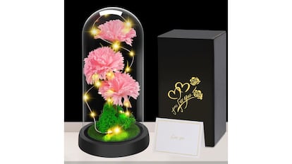 Clavel rosa.