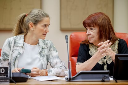 La vicepresidenta tercera y ministra para la Transición Ecológica, Sara Aagesen (izquierda), con la diputada socialista Cristina Narbona, este viernes en el Congreso. 