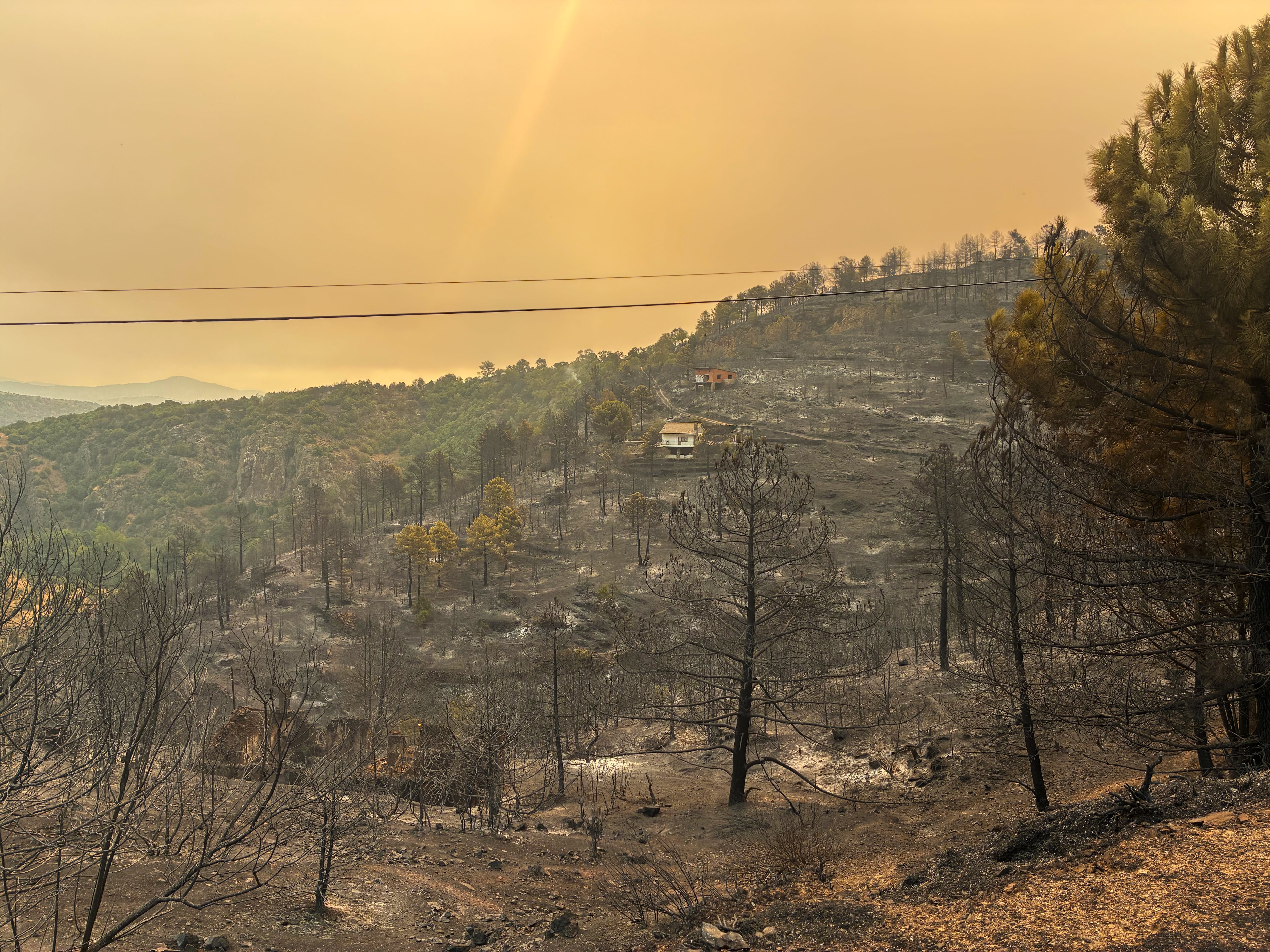 Vista del incendio forestal de Burgohondo en el Valle de Iruelas (Ávila), este 24 de julio.