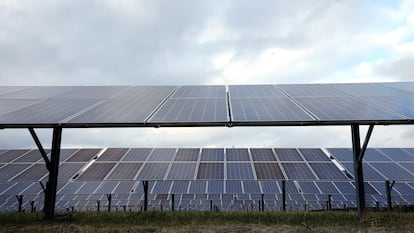 Solar panels are seen at the DTE O'Shea Solar Park work in Detroit, Nov. 16, 2022.