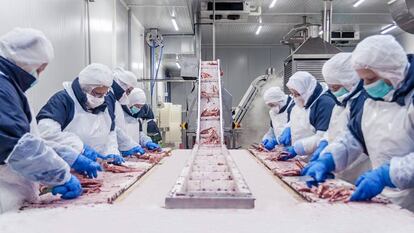 Profand nombra un consejo de administración y transforma Caladero tras la entrada de Alba