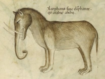 Aspecto de un elefante en un libro de hierbas lombardo de 1440.