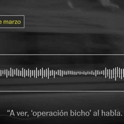 Audio de Encarnación Burgueño.