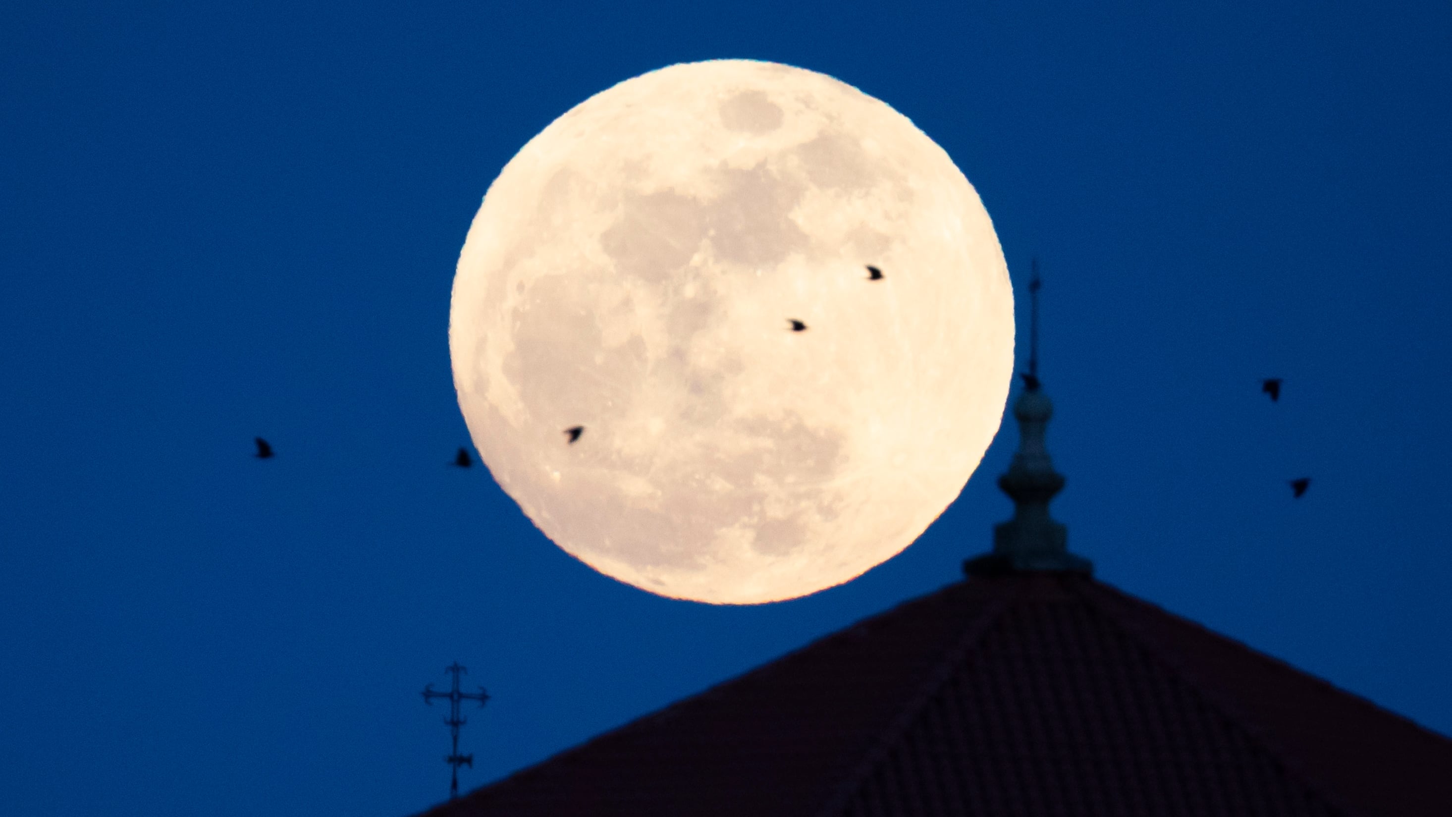 ¿De quién es la Luna? Las cinco curiosidades que siempre quisiste saber sobre el satélite