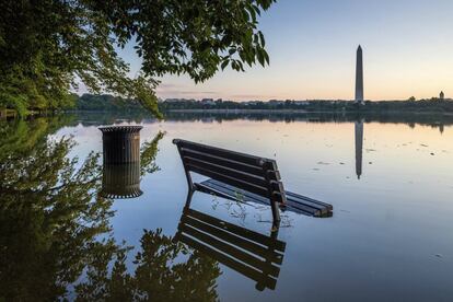 Un banco sobresale de entre el agua tras las inundaciones en Tidal Basin, Washington (Estados Unidos).