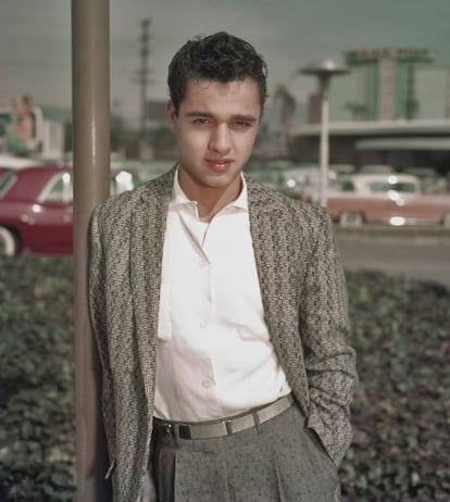 Será para siempre Platón, el adolescente torturado que se enamoraba de James Dean en 'Rebelde sin causa' (1955). Sal Mineo (Nueva York, 1939-Los Ángeles, 1976) tenía 16 años cuando fue nominado al Oscar por este papel, y 37 cuando fue apuñalado por un repartidor de pizza que intentó atracarle mientras regresaba a su casa. Para entonces, su carrera estaba acabada, pero había recibido estupendas críticas por un papel en una obra de teatro con la que tenía previsto debutar en Broadway. El imaginario colectivo, por alguna razón, ha perpetuado la teoría de que Mineo fue asesinado por un chapero. No es cierto, pero así ha acabado pasando a la historia de la crónica macabra de Hollywood. En la imagen, el actor en 1960.