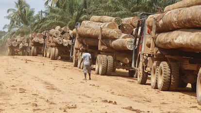 Camiones cargados de madera en Liberia.